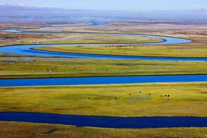鶴崗2萬買套房!黑龍江低房價為發展避暑候鳥式旅居養老帶來機遇