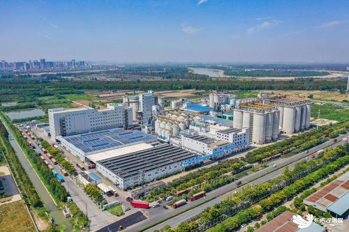 中國網谷 一廊筑脊梁