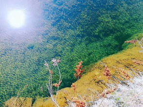 五大連池四人行