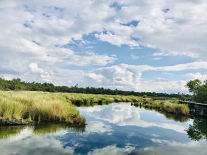 畢業旅行第一站 五大連池