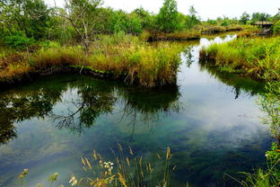 世界地質公園五大連池