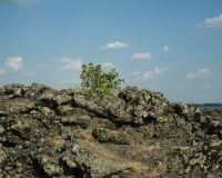 五大連池五大連池風景區攻略,五大連池風景區 五大連池 門票 游玩攻略 地址 圖片 門票價格