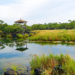 2018溫泊門票,五大連池溫泊游玩攻略,溫泊游覽攻略路線 地址 門票價格