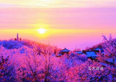 北京冬奧運動員!五大連池風景區邀您免費玩~