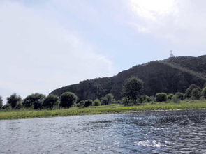 帶著孩子去旅行 2014,7月8月親子自駕 哈爾濱 大慶,齊齊哈兒,呼倫貝爾,滿洲里,大興安嶺,漠河,五大連池游記圖片