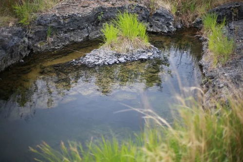 fullof 干貨 一文get五大連池攻略