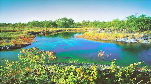 溫泊門票,溫泊游玩攻略 360地圖