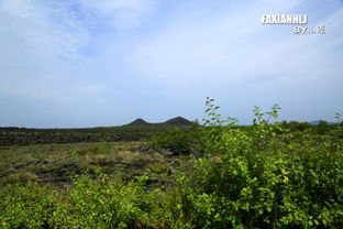 在五大連池爬老黑山才是正經事