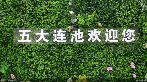 便宜機(jī)票雙周報(bào) 四十塊錢買往返