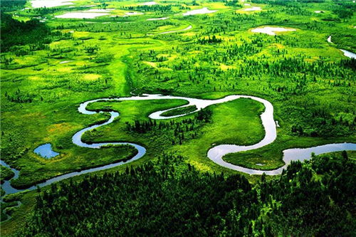 帶你走進老相食五大連池大豆種植基地