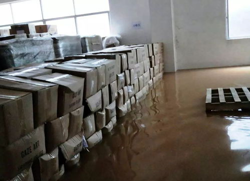 直擊 狂風(fēng)驟雨不歇,鼎和為您守護(hù)