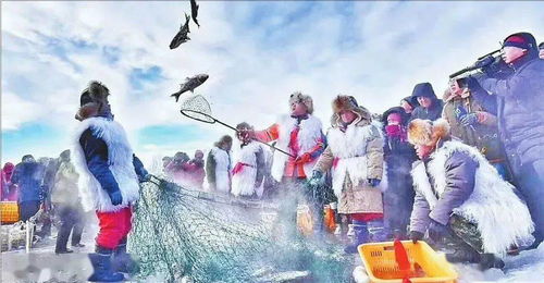 東北行首創(chuàng) 雪鄉(xiāng)之約六天五晚活動(dòng) 嚴(yán)選產(chǎn)品