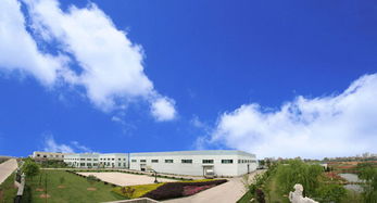 其他未分類 武強(qiáng)縣通達(dá)儀表廠