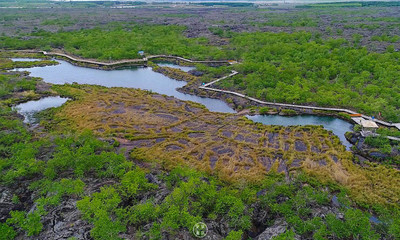 【全景龍江 震撼航拍10萬人共度五大連池圣水節!
