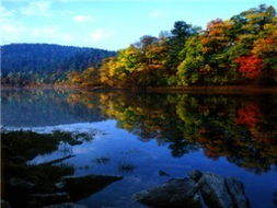 齊齊哈爾 五大連池冷礦泉 老黑山 扎龍 牡丹江 鏡泊湖 吊水樓瀑布 長白山 天池3臥6日游