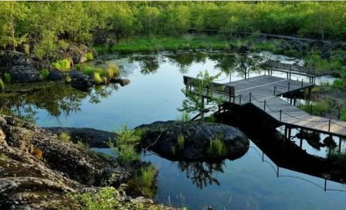 2020年黑龍江游 漠河北極村,鏡泊湖,湯旺河林海奇石,五大連池