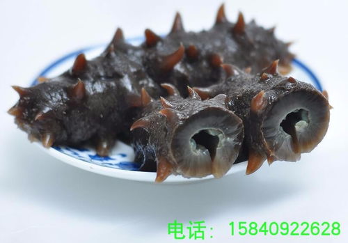 五大連池冷蒸海參設備 冷蒸海參機