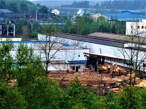 河舒工業園食品企業與木材加工廠共處一個廠之內