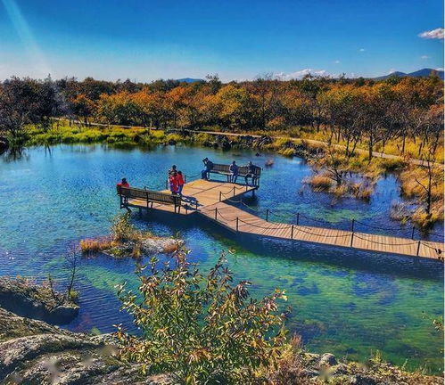 教師節怎么 告白 今年我們來點不一樣的