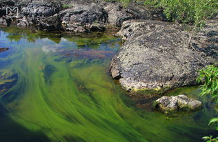 五大連池之旅 美麗的地方