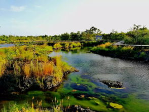 首發 6月15日自駕呼倫貝爾 北極村13日 穿越內蒙最美草原錫林郭勒 呼倫貝爾 阿爾山 滿洲里 大興安嶺 五大連池 直達漠河 火山