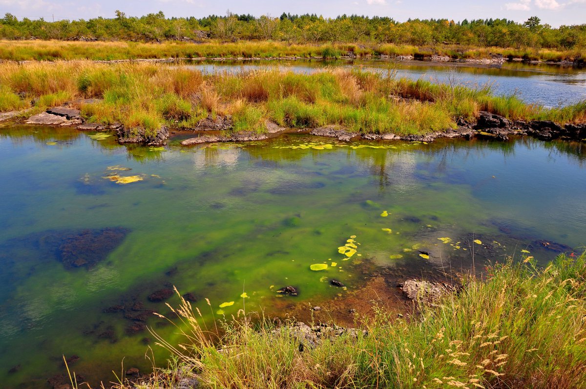 五大連池溫泊風景圖片,高清圖片