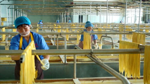 黑龍江五大連池 深耕營商沃土助力 豆 鏈精深