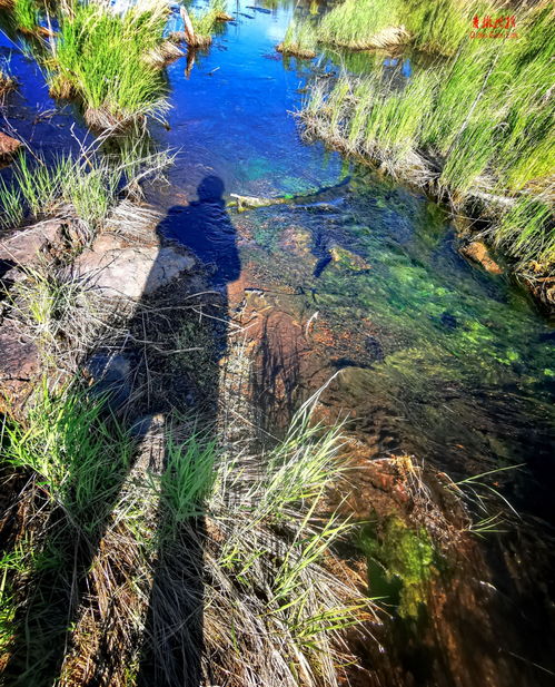 五大連池 世界地質公園