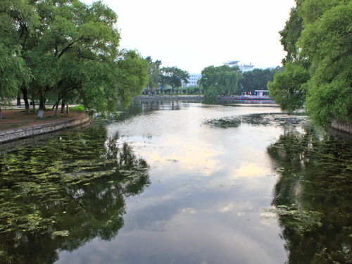 吉林 長白山 鏡泊湖 哈爾濱 伊春 五營 五大連池 漠河臥動12日游