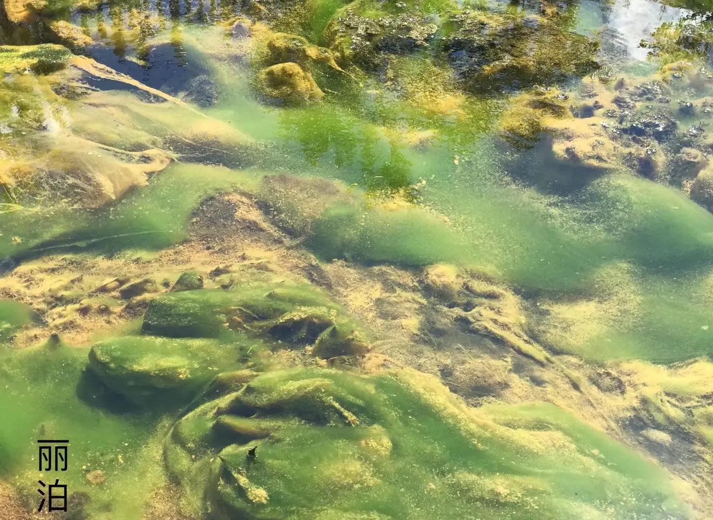 五大連池溫泊:火山與溫泉的奇妙邂逅