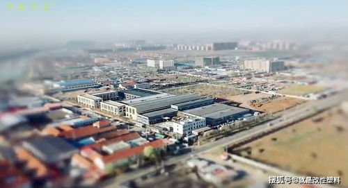 青島中新華美 不忘初心 砥礪前行