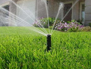 只有持久的激情才值錢,2招讓你的激情變成真金白銀