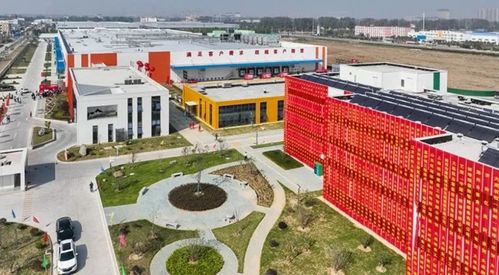 蚌埠大成食品二期項目暨鮮食工廠正式投產(chǎn)