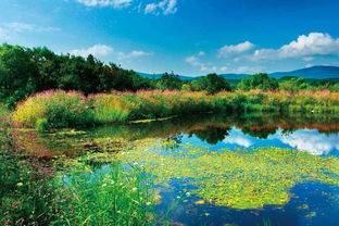 地質美如畫,快來看一看