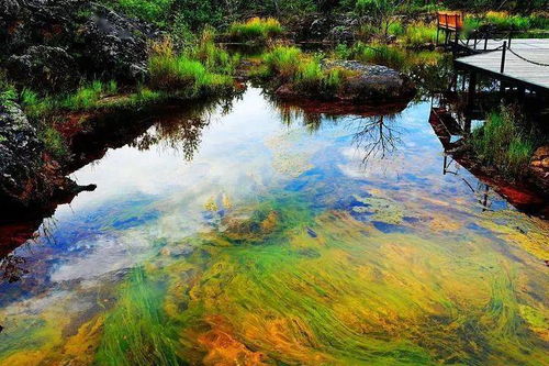 云 游中國 五大連池,湖泊與火山最極致的結合