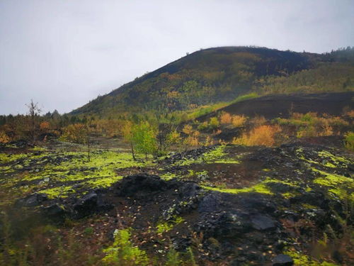 最美中國(guó) 嫩江到五大連池