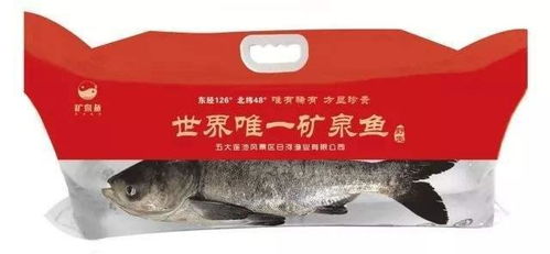 追尋五花山色 這個秋日,跟隨這條自駕線路解鎖龍江花樣玩法