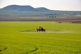 黑龍江墾區(qū)夏管忙