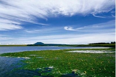 2017四池叫蓮花池,猶如仙境一般,。噴氣錐區堪稱世界奇觀,讓人震撼。景色非常美,感覺人還不算多_五大連池風景區評論 - 去哪兒攻略社區