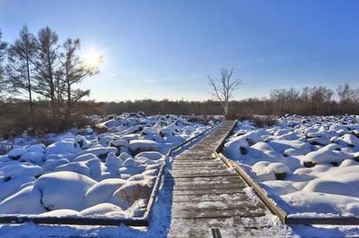 跟著鏡頭游龍江|五大連池最新冬游打卡攻略出爐,速戳!