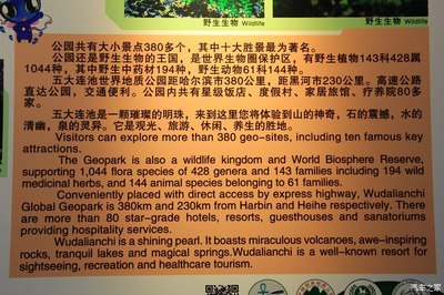 金雞之冠北極村 結伴暢游走邊陲