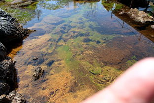 五大連池世界地質公園