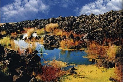 【五大連池黑河天氣預報】五大連池黑河天氣預報一周_五大連池黑河天氣預報3天、7天、10天、15天、30天、40天查詢