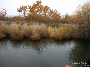 五大連池國(guó)慶自駕游