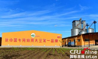 央媒龍媒走黑河 大型采風(fēng)團(tuán)探尋五大連池特色農(nóng)業(yè)創(chuàng)意發(fā)展之路