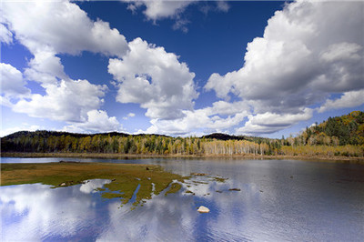 【當(dāng)季爆款】興安嶺序曲/大森林里的小夏天-哈爾濱太陽(yáng)島/五大連池黑龍山/伊春湯旺河/中華巴洛克老街/臥動(dòng)6日游