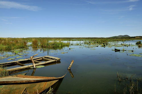 黑龍江省五大連池市