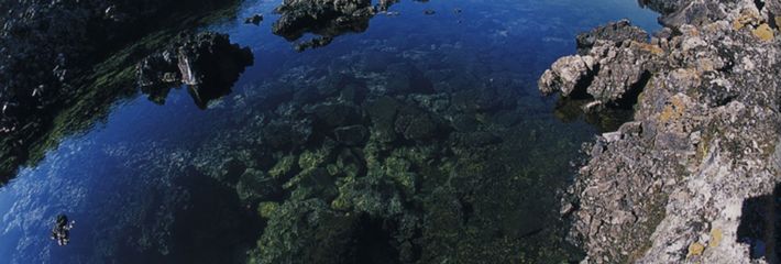 【2020】五大連池旅游攻略_五大連池自助游攻略_五大連池出游行程游記-途牛攻略