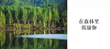 壯游黑龍江丨尋找黑龍江夏季壯游體驗官