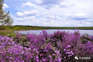 莫負好春光 龍江春季旅游正當時